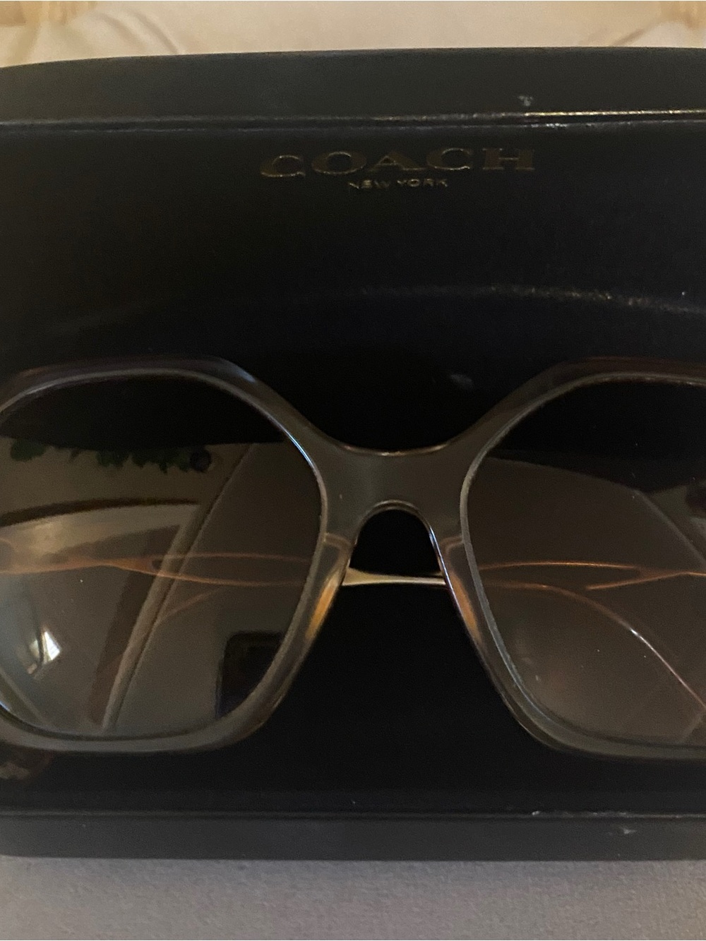 Coach Translucent Brown Frame Sunglasses with Gradient Brown Lenses